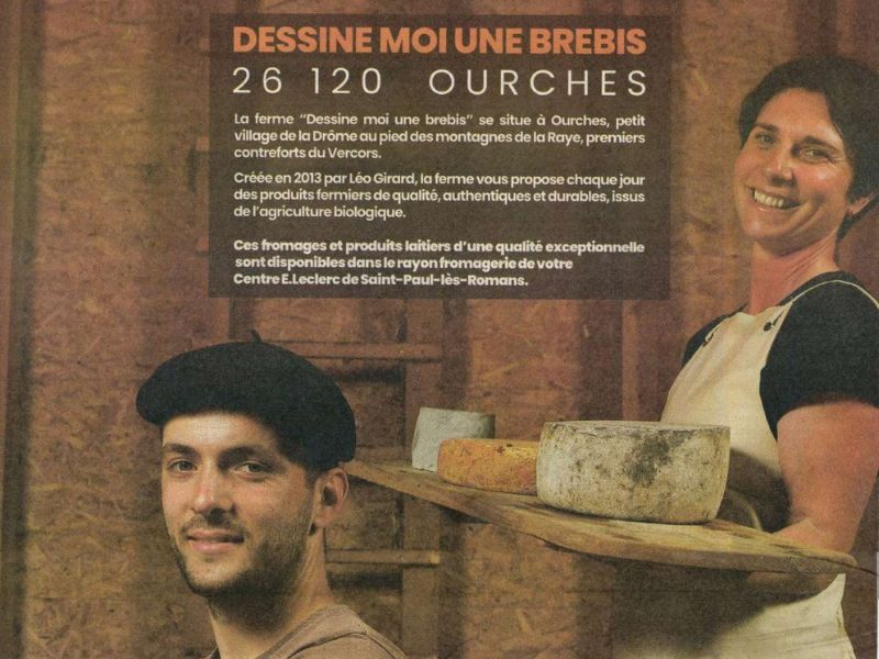 dessine-moi-une-brebis-leclerc