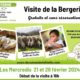 dessine-moi-une-brebis-vente-directe-produits-fermiers-visite-bergerie-fevrier-2024-1