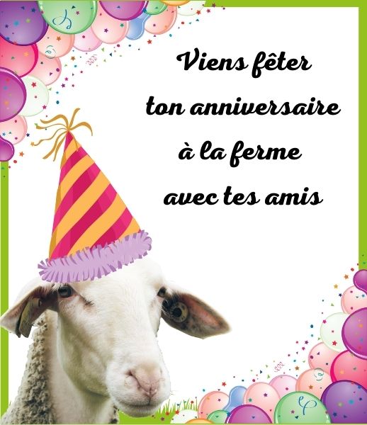 dessine-moi-une-brebis-vente-directe-produits-fermiers-anniversaire-a-la-ferme-ninja1