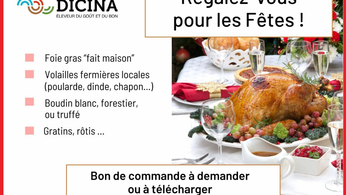 dicina-maisondicina-noel-2025-commande-actu-crest-grillon