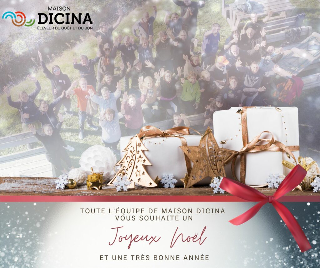 maison-dicina-voeux-2026
