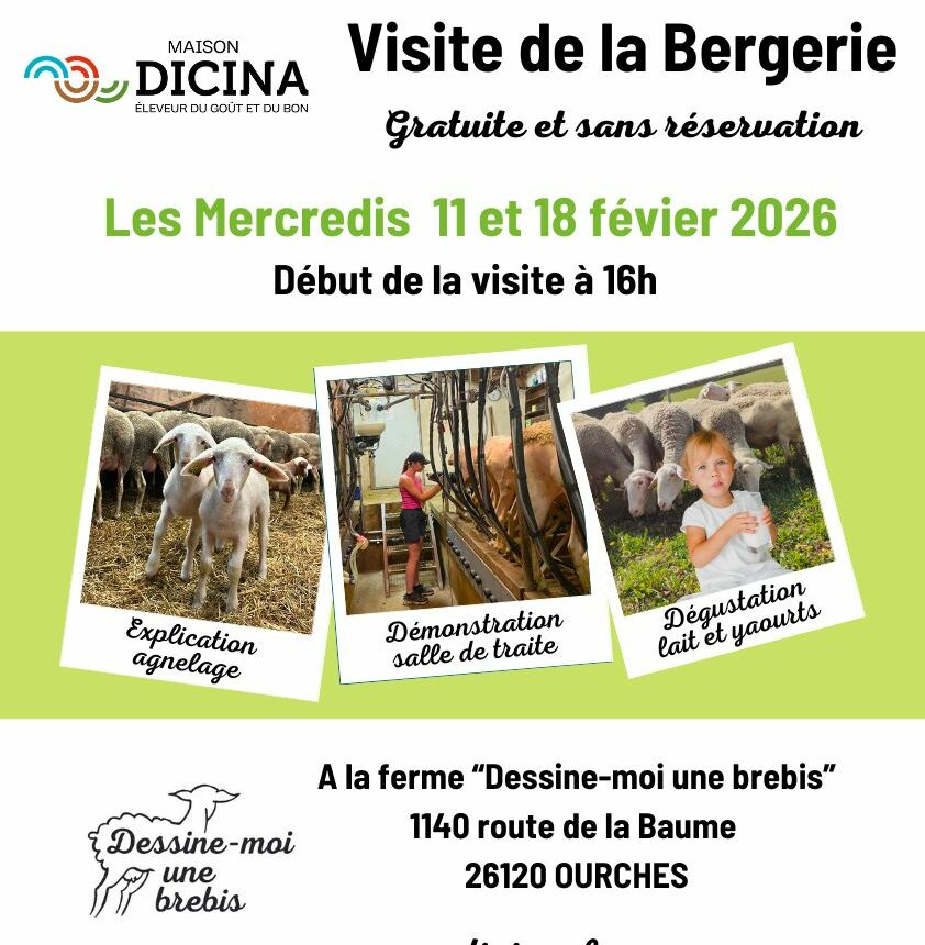 maison-dicina-viste-bergerie-dessine-moi-une-brebis-fevrier-2026-slide