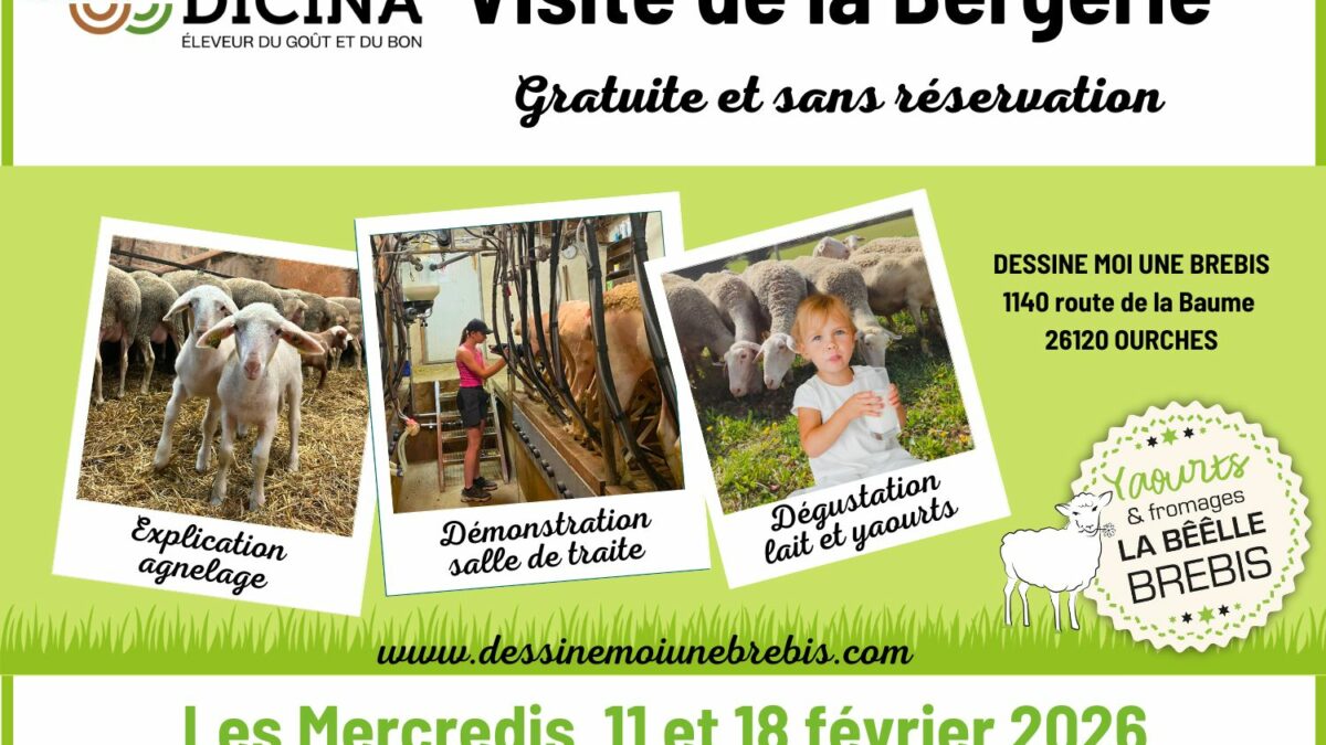 maison-dicina-viste-bergerie-dessine-moi-une-brebis-fevrier-2026-actualité