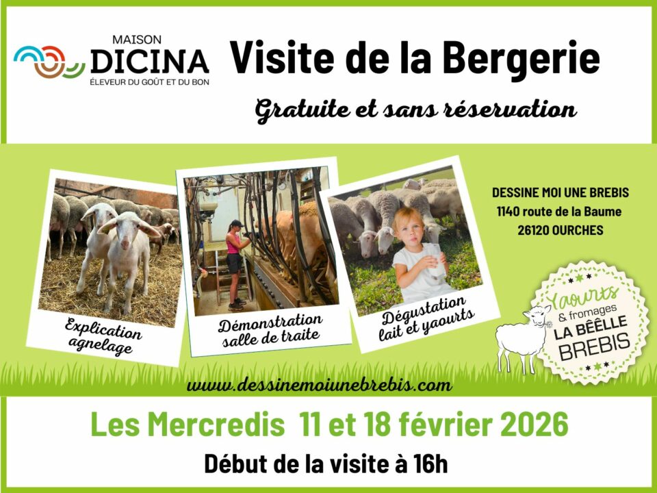 maison-dicina-viste-bergerie-dessine-moi-une-brebis-fevrier-2026-actualité