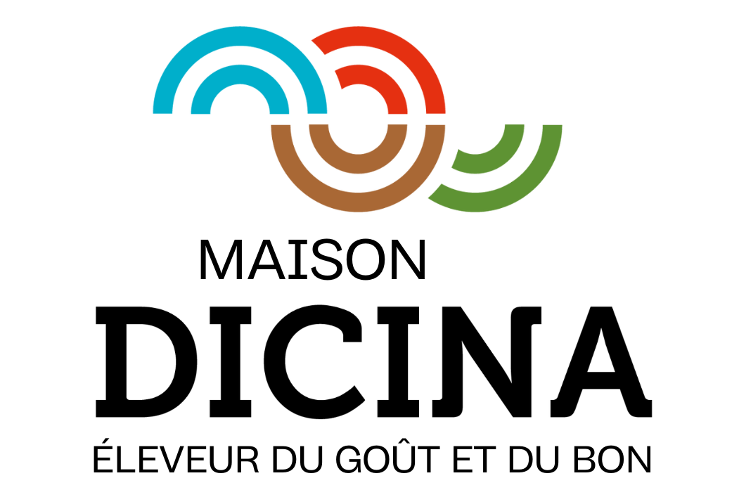 Logo Dicina2